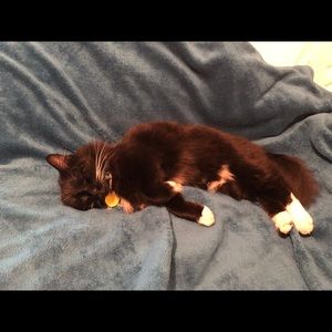 Meet your Posher, Jess